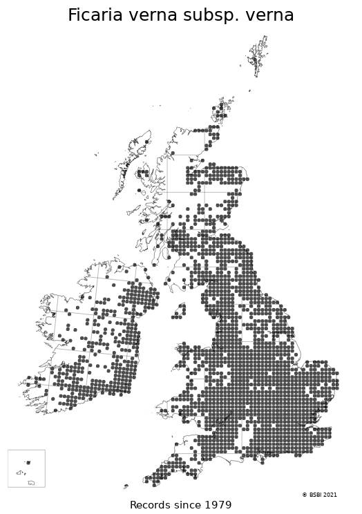 Verna Map Ficaria verna – February 8th 2021 (Lesser Celandine) – The Botanical ...