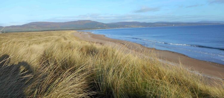 A view of Could Links