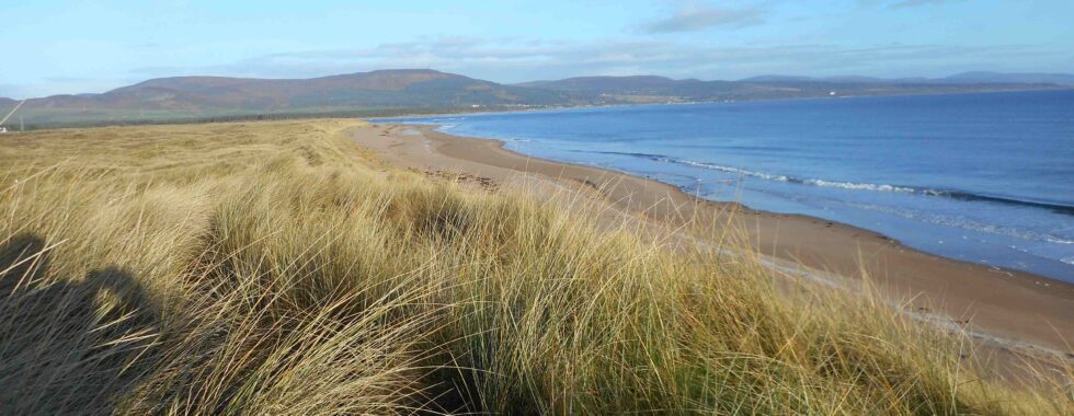 A view of Could Links